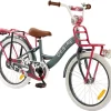 2Cycle Desire Kinderfiets - 20 Inch - Voordrager -Grijs-Roze - Meisjesfiets