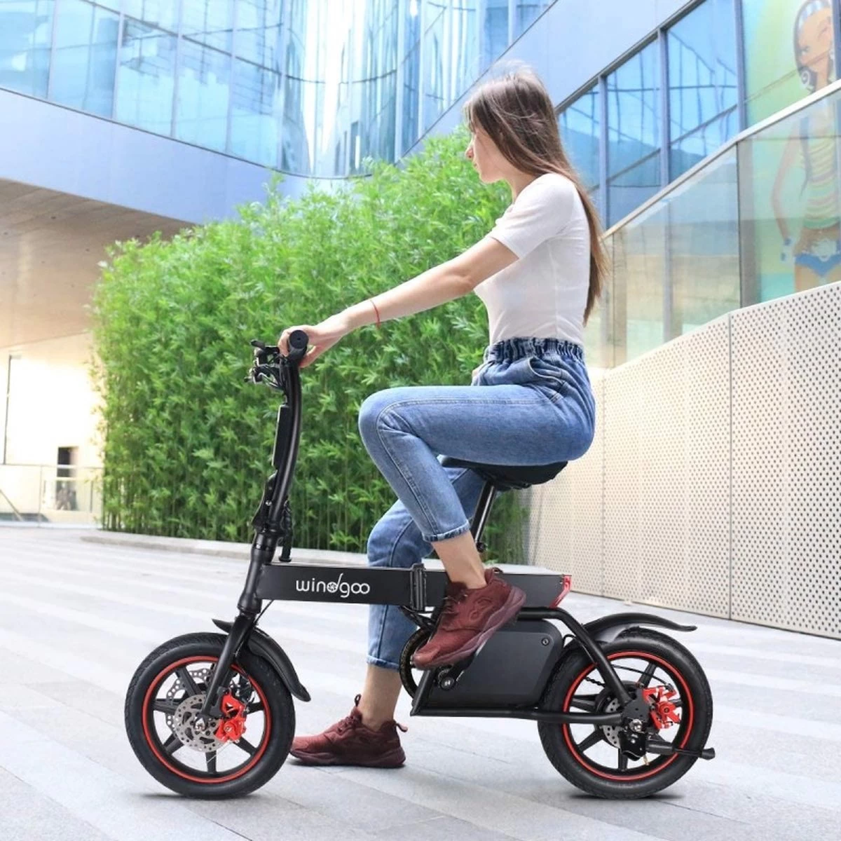 Windgoo B-20 Elektrische Vouwfiets - Snelheid 20 Km/h - 15 Km Bereik - Schijfremmen - Afbeelding 8