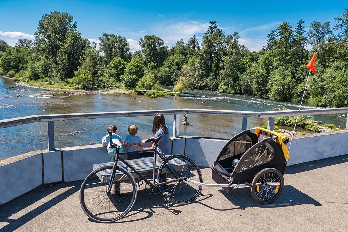 Burley Bee Double Kinderfietskar - Twee Kinderen - Afbeelding 11